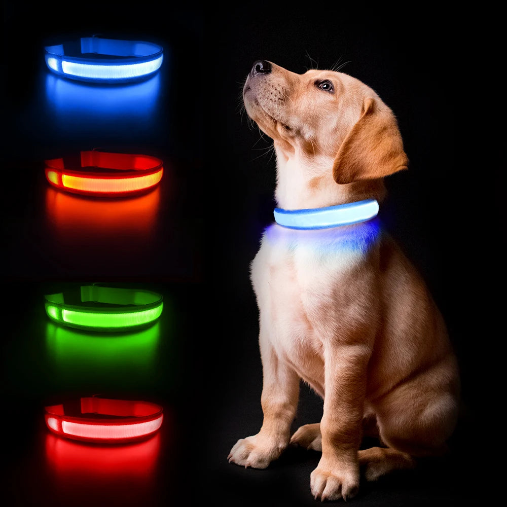 MASBRILL Dog Collar Luminous  Waterproof Safety Collars