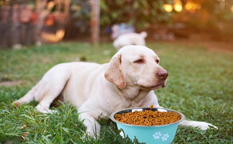 Non-slip Dog Bowls