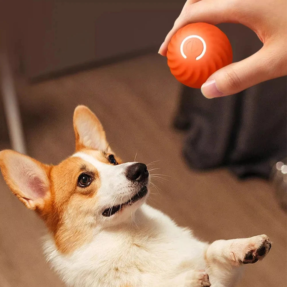 Smart Electric Ball