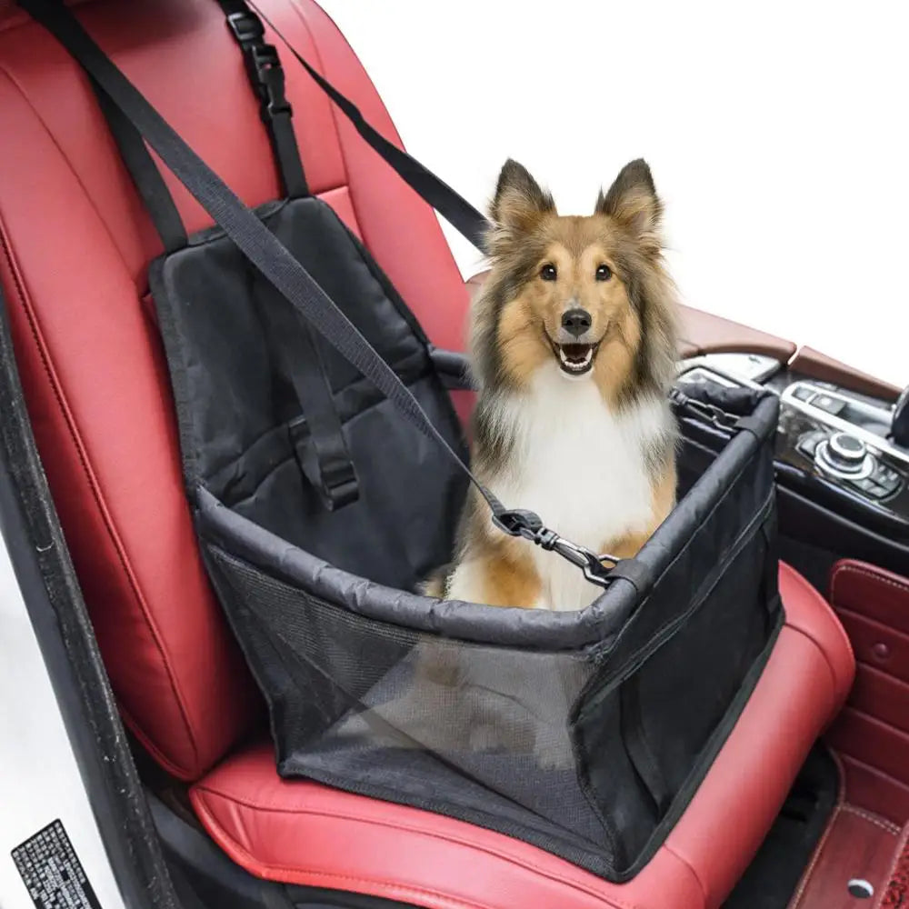 Pet Car Seat Carrier