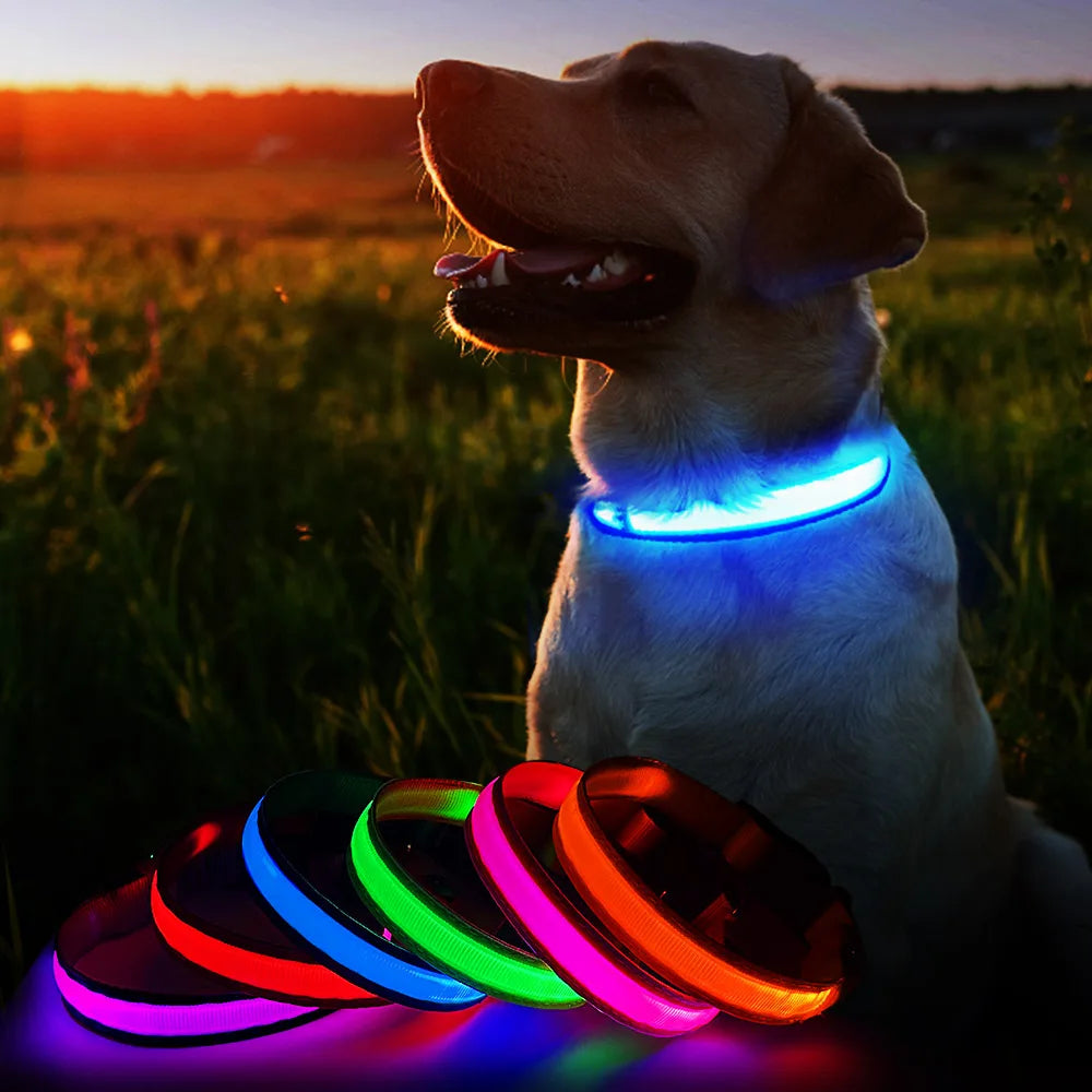 MASBRILL Dog Collar Luminous  Waterproof Safety Collars