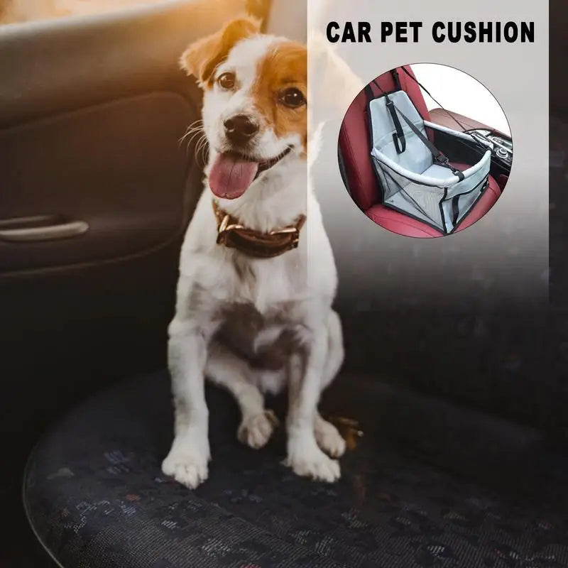 Pet Car Seat Carrier