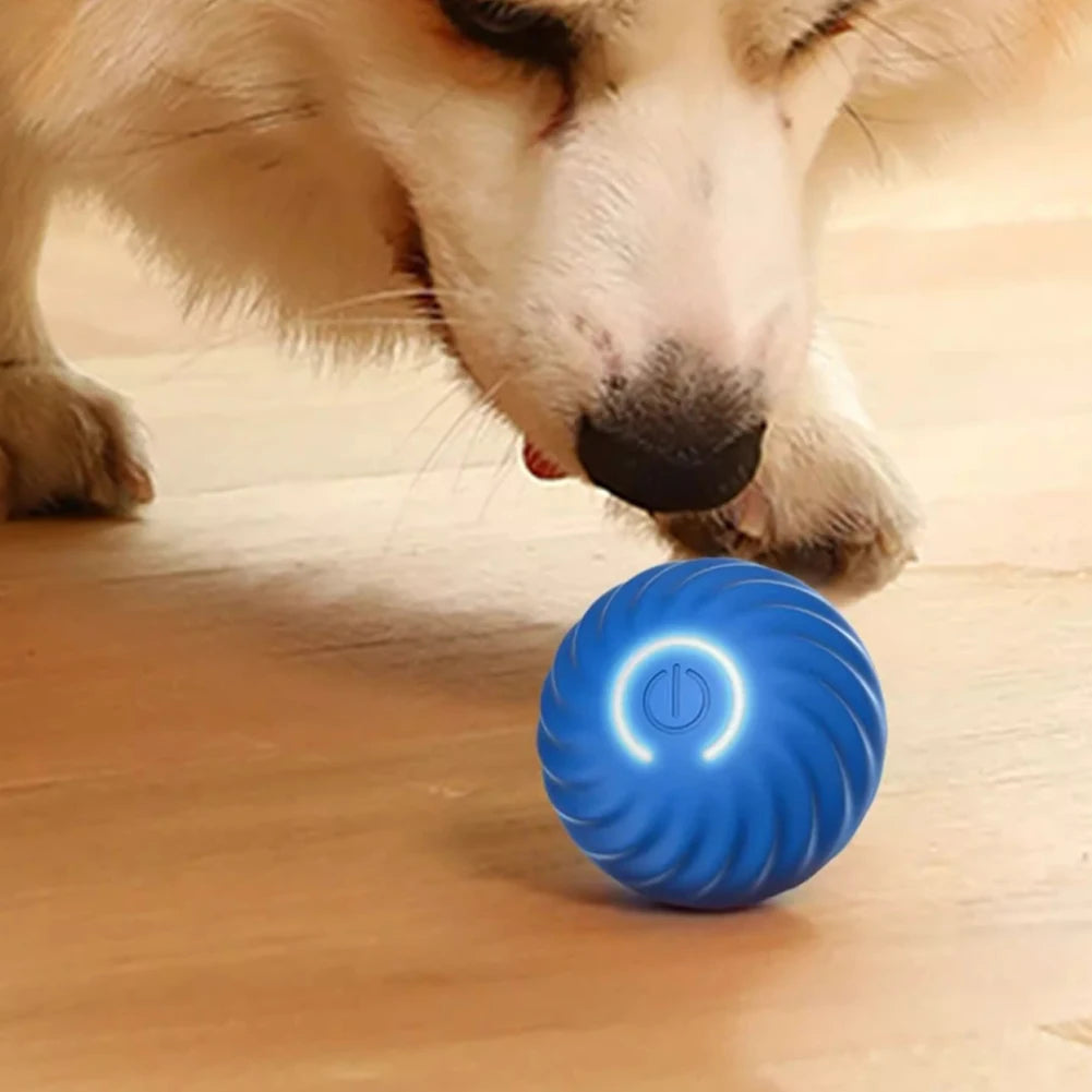 Smart Electric Ball